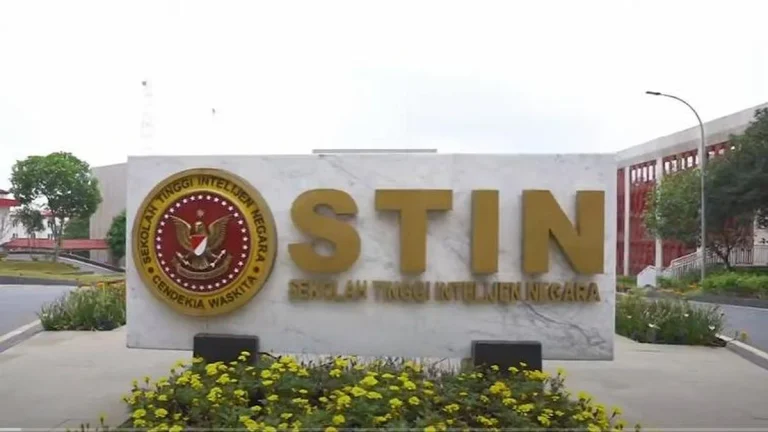 STIN